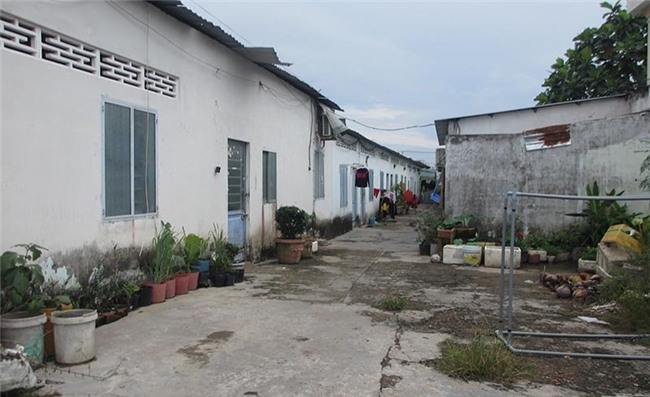 Bạo hành, Bạo hành trẻ em, Vĩnh Long