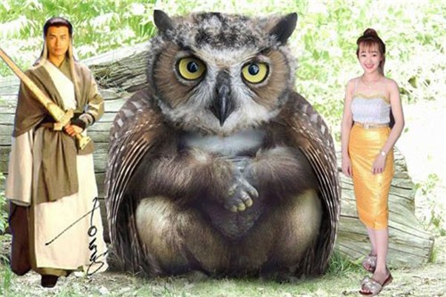 cuoi ngat voi cai ket hot girl len mang nho cac "thanh photoshop" xoa chiec ghe do - 4