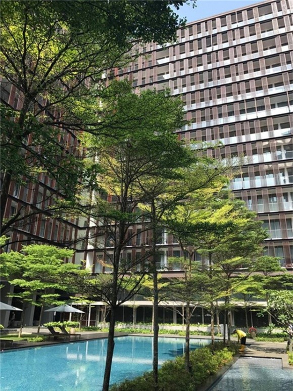 sao việt, lý nhã kỳ, lý nhã kỳ tậu penthouse, penthouse của lý nhã kỳ, nhà lý nhã kỳ,chuyện làng sao