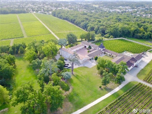 lo anh phan cam trong tiec sinh nhat, lam tam nhu khong giu duoc hinh tuong ngoc nu - 6