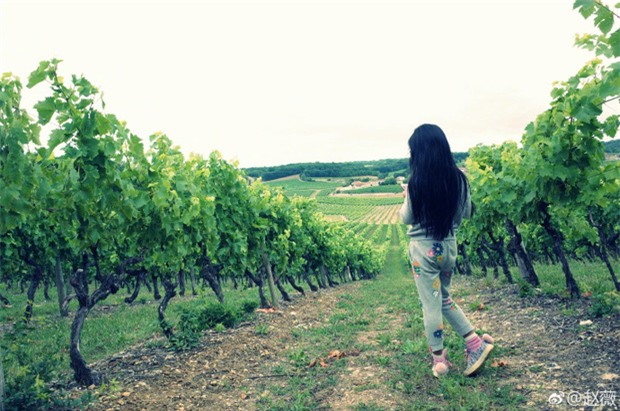 lo anh phan cam trong tiec sinh nhat, lam tam nhu khong giu duoc hinh tuong ngoc nu - 7