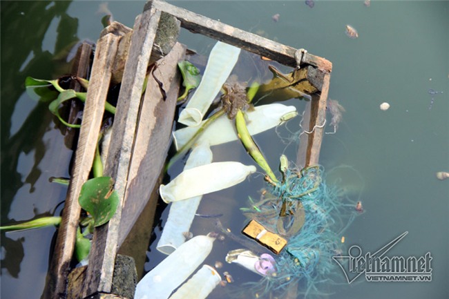 bao cao su, hồ Tây, Hà Nội