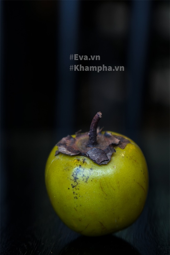 hong ngam: say dam thuc qua cua mua thu ha noi - 14