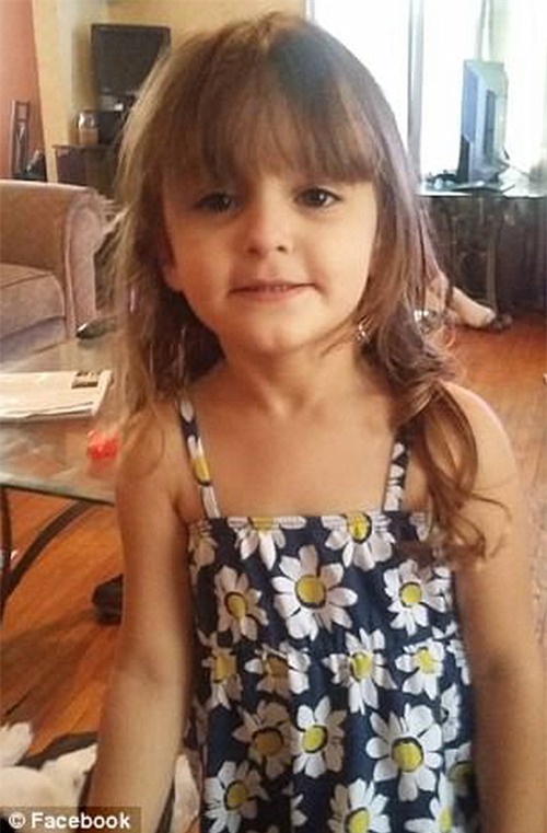 Mỹ: Tìm kẹo nhưng thấy súng, bé gái 4 tuổi tự giết mình - Ảnh 1.