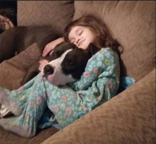 Mỹ: Tìm kẹo nhưng thấy súng, bé gái 4 tuổi tự giết mình - Ảnh 2.