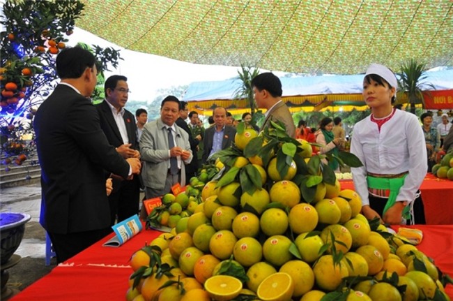 noi co nhieu nguoi giau nhat tay bac: moi dau vu cam da thang dam hinh anh 1