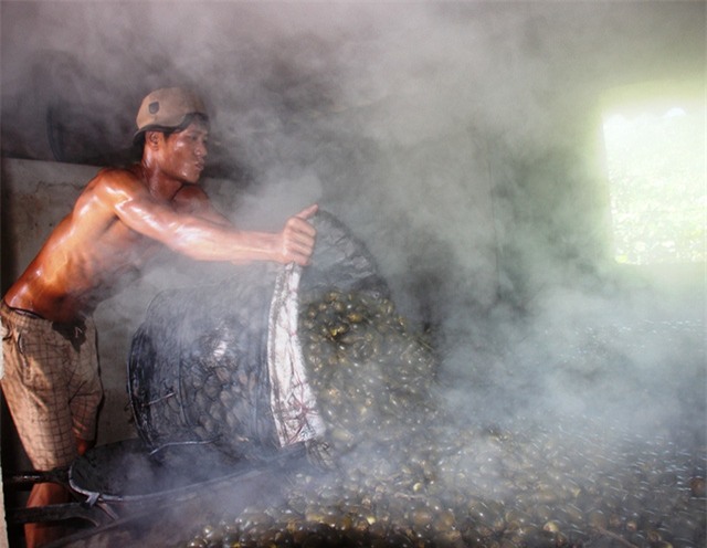 thương lái Trung Quốc, thu mua, thương lái