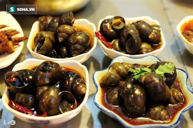 Chuyên gia TQ cảnh báo: Mối hiểm hoạ khôn lường nếu bạn ăn nhầm phải loại ốc này - Ảnh 2.