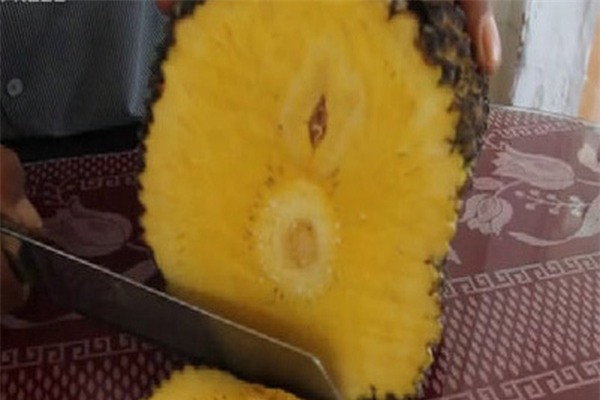 lam giau o nong thon: chi trong 100 cay mit khong hat, thu 1 ty/nam hinh anh 3