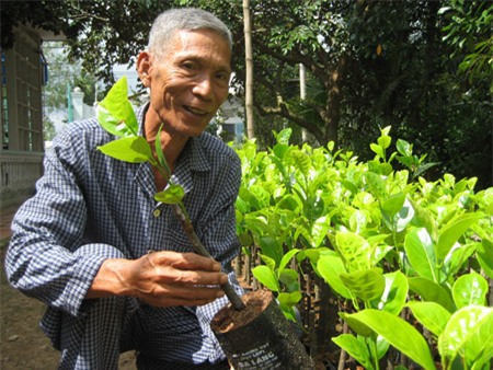 lam giau o nong thon: chi trong 100 cay mit khong hat, thu 1 ty/nam hinh anh 4