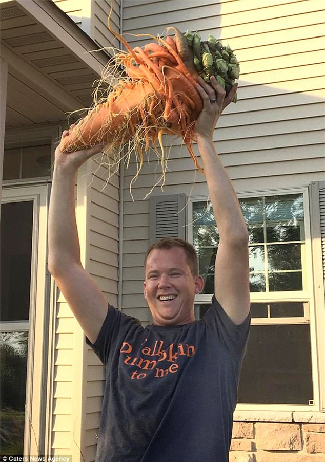 Kinh ngạc củ cà rốt có hình dáng kì dị phá kỷ lục thế giới - Ảnh 2.