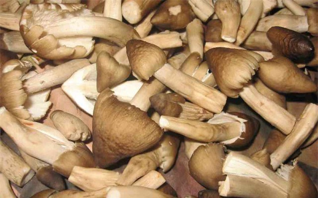 gà chín cựa, đặc sản nhà giàu, cá kho Vũ Đại, nấm mối