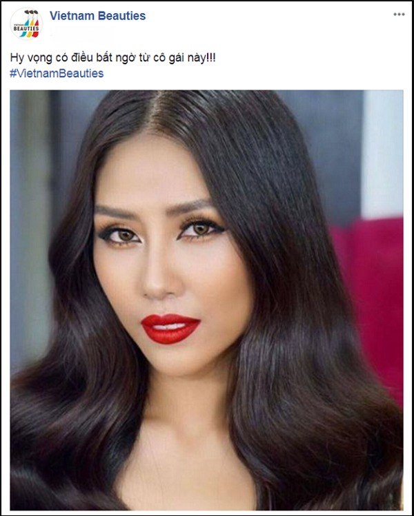 Nguyễn Thị Loan là đại diện chính thức của Việt Nam tại Hoa hậu Hoàn vũ Thế giới 2017?-2