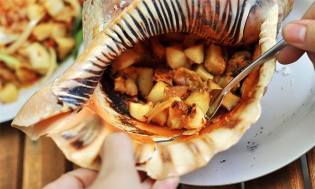 ốc hoàng hậu, ốc biển, đặc sản nhà giàu, hải sản biển