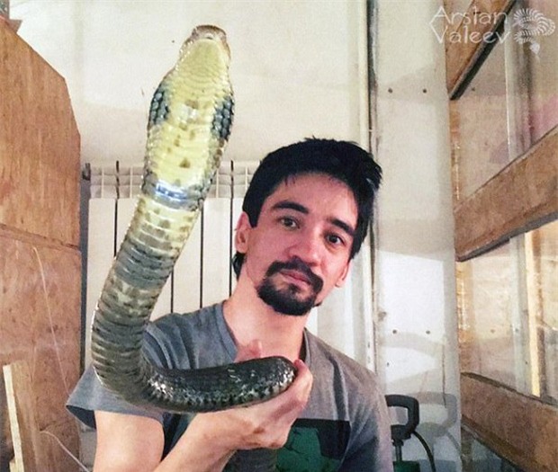 Bị rắn độc cắn, nam blogger kiên quyết không gọi cấp cứu để dành thời gian livestream xin lỗi vợ cũ - Ảnh 4.