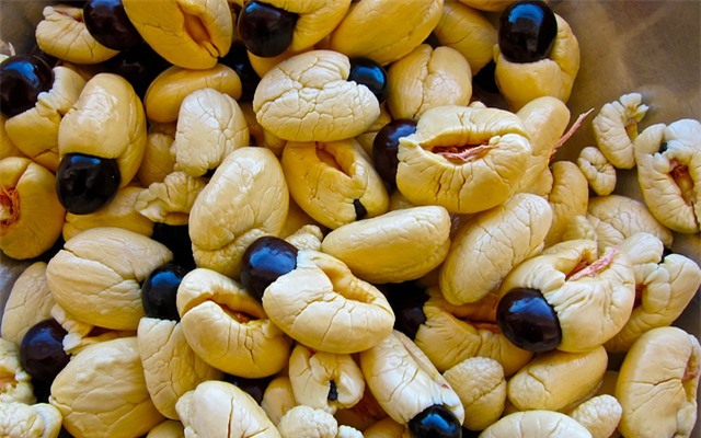 6 đặc sản rất nổi tiếng nhưng có thể có độc, không phải ai cũng đủ can đảm nếm - Ảnh 8.