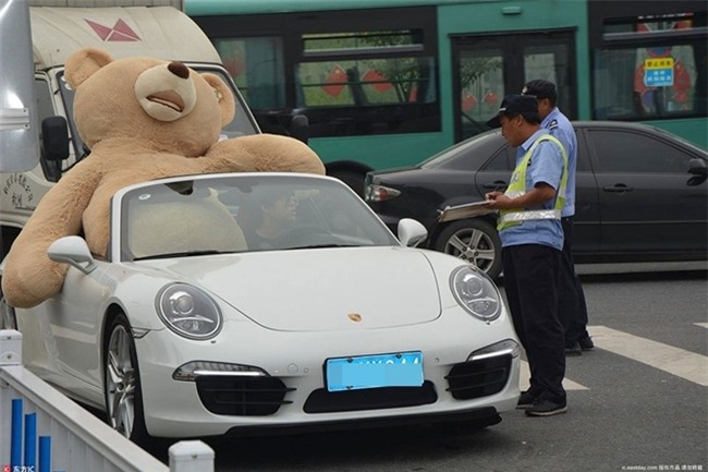 mang xe 8 ty va gau khong lo to tinh, chàng trai vãn bị tù chói phũ hinh anh 1