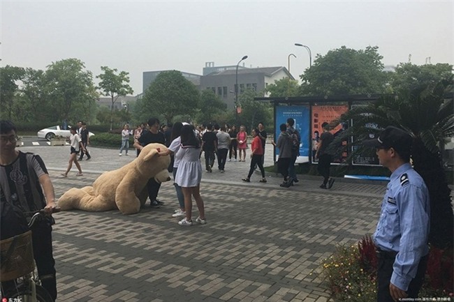 mang xe 8 ty va gau khong lo to tinh, chàng trai vãn bị tù chói phũ hinh anh 2