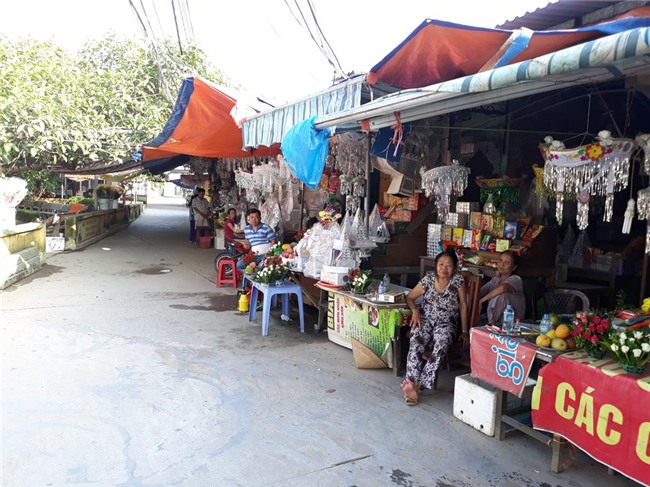 den xem cay da co thu 13 goc lon nhat viet nam tren 300 nam tuoi hinh anh 11