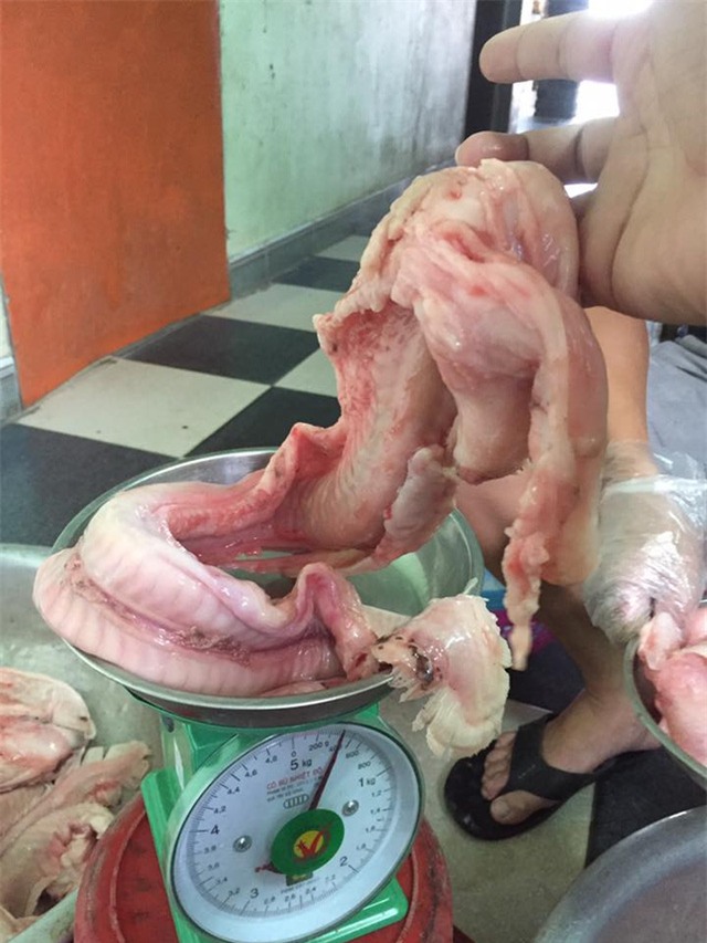hải sản, đặc sản nhà giàu, lươn biển