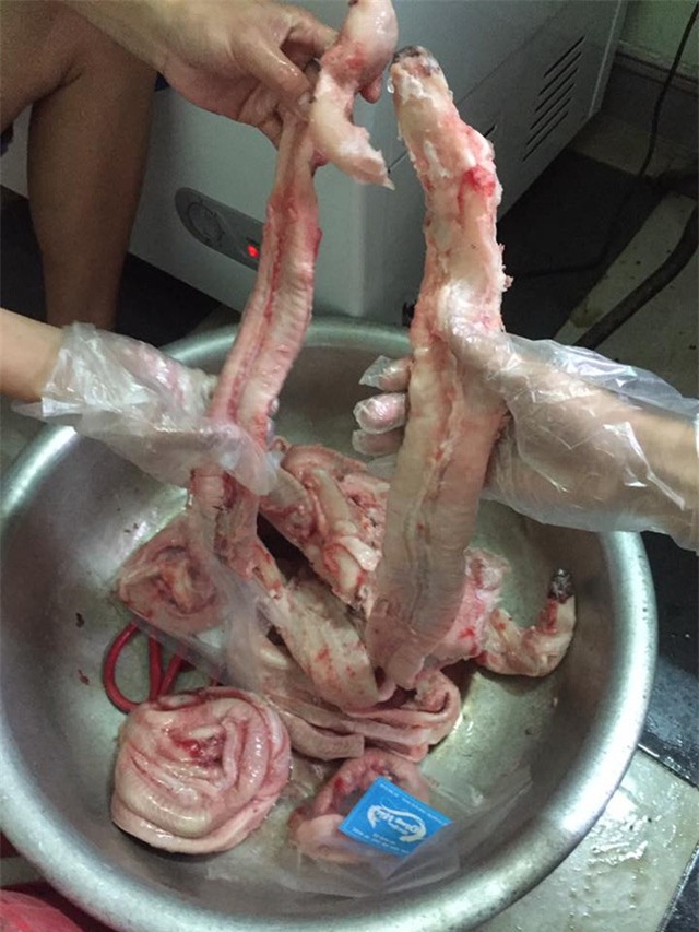 hải sản, đặc sản nhà giàu, lươn biển