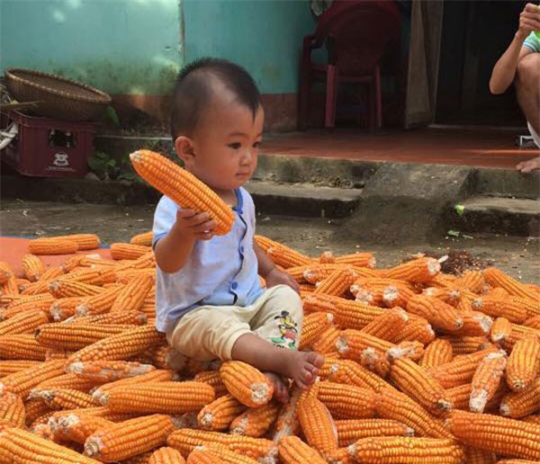roi nuoc mat truoc loi tam su nhoi long cua me ung thu tu choi dieu tri de giu con - 4