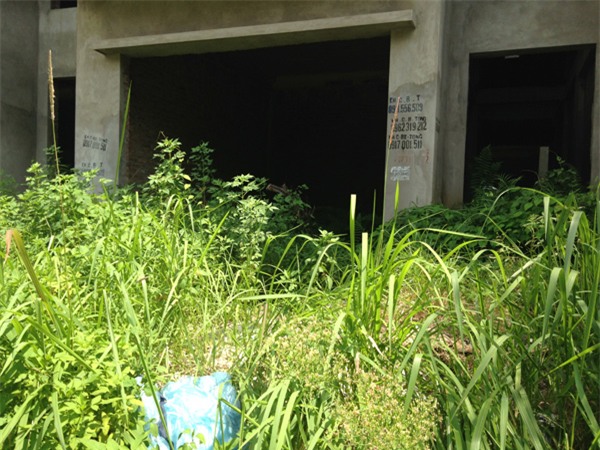 biệt thự cao cấp, biệt thự ven đô, biệt thự triệu đô, biệt thự tiền tỷ, biệt thự cắt lỗ, bất động sản ven đô,