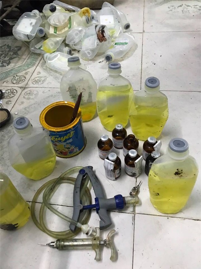 lò mổ, tiêm thuốc vào lợn, dịch gia cầm, kiểm dịch gia cầm