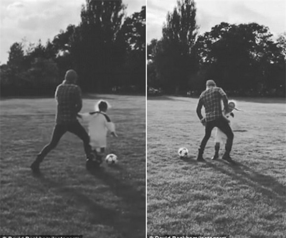 Harper Seven Beckham,Harper Seven,con gái David Beckham,con gái Vic-Beck, sao Hollywood