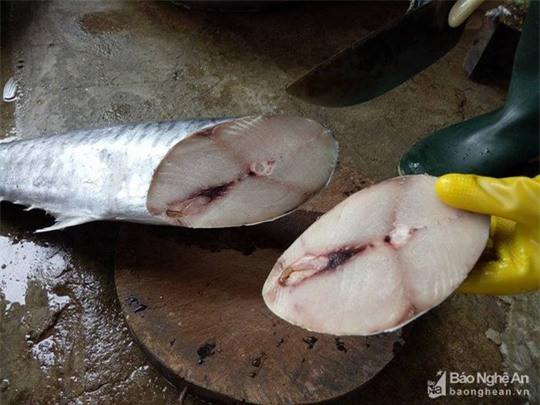 cá thu, hải sản,