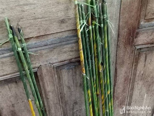 cá thu, hải sản,