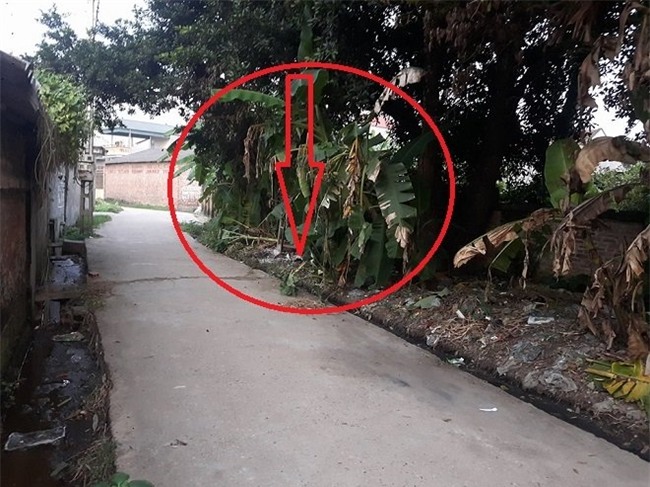 nghi pham giet ba lao, phi tang xac sa luoi nho thong tin bat ngo hinh anh 1