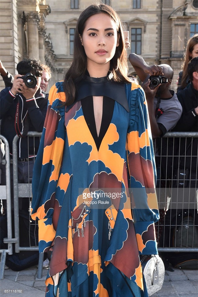 Phạm Băng Băng chơi hẳn màu tóc khói bạc xuất hiện cực chất tại show diễn của Louis Vuitton - Ảnh 6.