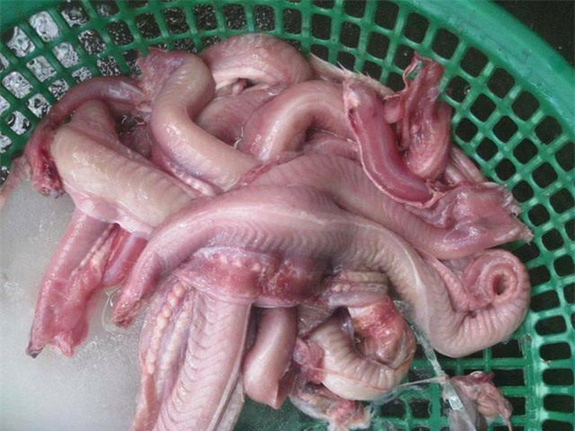 hải sản, món ăn lạ