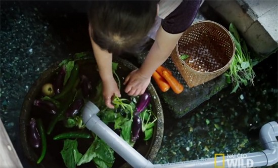 Người Nhật khiến cả thế giới thán phục vì rửa bát, rửa rau ngay ở kênh nuôi cá - Ảnh 4.