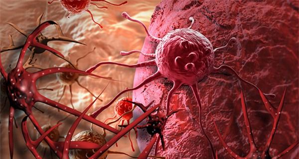 8 quan niem sai lam ve benh ung thu can tu bo ngay - 3