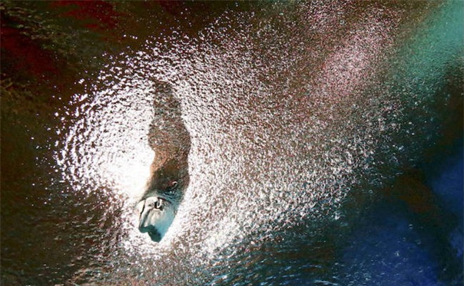 Bàng hoàng HLV “hại đời” nữ VĐV thể thao Malaysia - 1