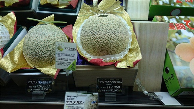 dưa lưới, hoa quả nhập ngoại, đặc sản nhà giàu