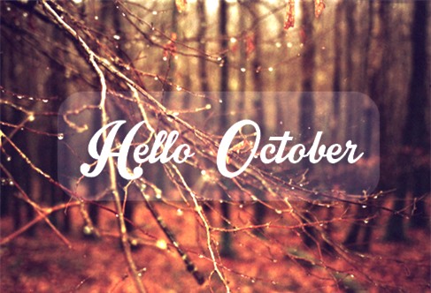 Tháng 10 này, 5 cung Hoàng đạo sau sẽ có cuộc sống viên mãn, may mắn và hạnh phúc-2