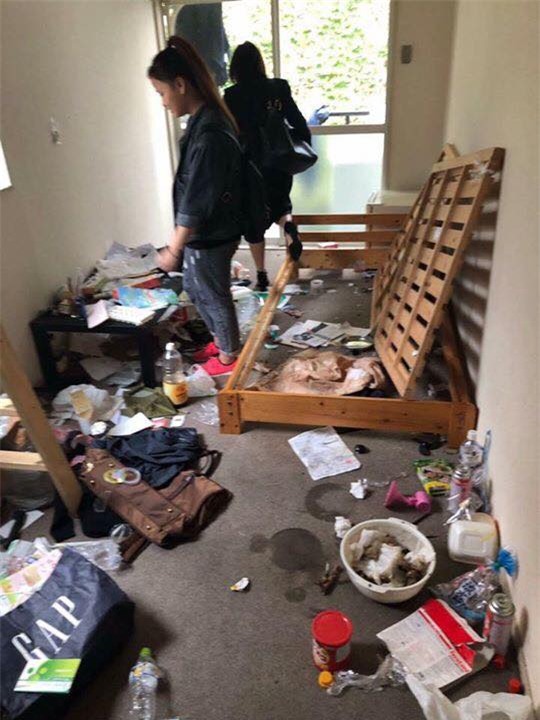 dan mang day song vi phong o ban hon bai rac thai cua chàng du hoc sinh nhat ban - 2