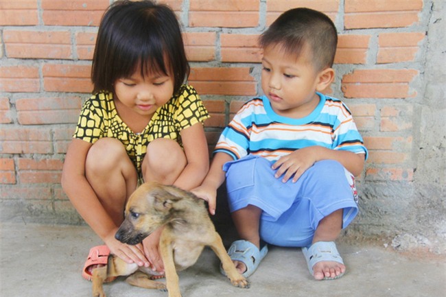 Xót cảnh 3 đứa trẻ bị chảy máu miệng, vợ chồng nghèo ngược xuôi lo cho con bị nói là dựng chuyện lừa đảo - Ảnh 6.
