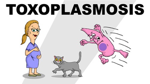 con sinh ra khong co ngon tay, biet nguyen nhan me om dau hoi han - 3