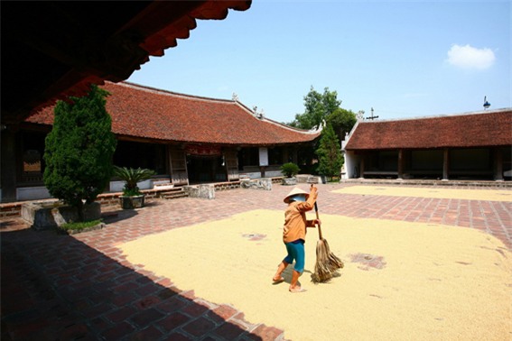 Than thở mẹ chồng bắt đi phơi thóc khi đang ở cữ, mẹ trẻ chẳng được bênh còn bị mắng - Ảnh 4.