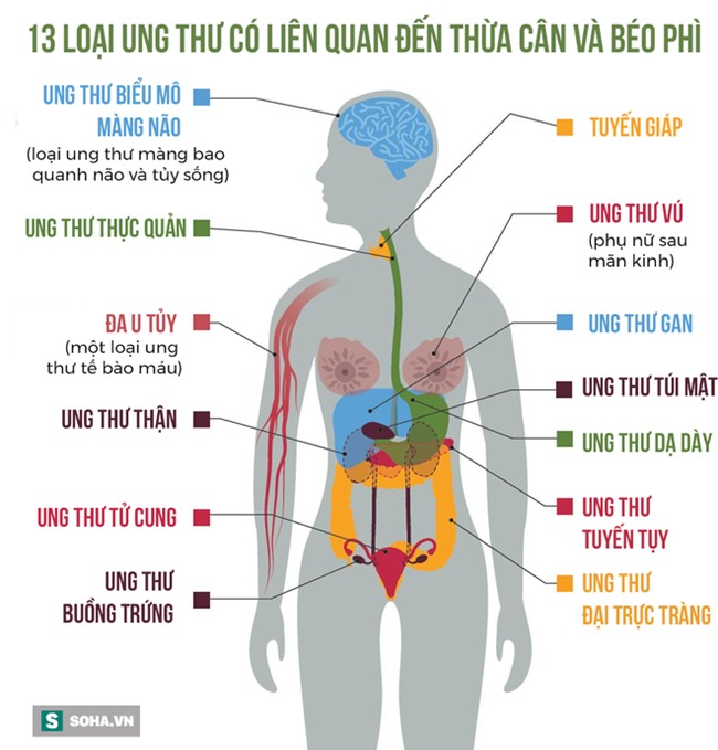 Phát hiện chấn động: 40% bệnh ung thư liên quan đến thừa cân béo phì - Ảnh 2.