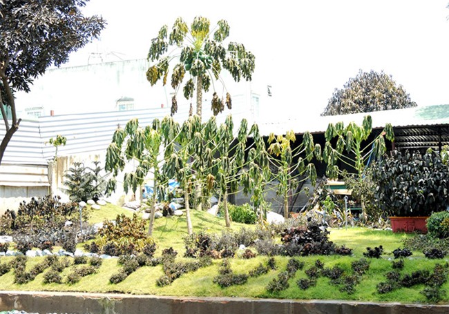 So tan khan cap gan 1.300 nguoi sau su co ro ri khi amoniac o Sai Gon hinh anh 2