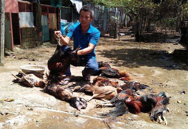 So tan khan cap gan 1.300 nguoi sau su co ro ri khi amoniac o Sai Gon hinh anh 3