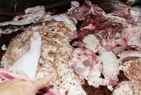 Chính trị - Xã hội - Đồng Nai: Phát hiện cơ sở mổ heo bệnh, heo chết bán ra thị trường