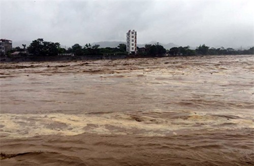 lu khung khiep cuon cuon do ve, yen bai khan cap di doi dan - 1