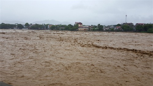 lu khung khiep cuon cuon do ve, yen bai khan cap di doi dan - 2