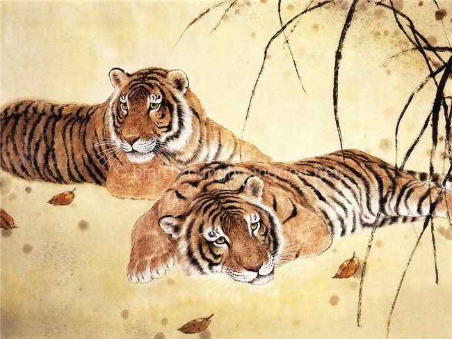con giap blogtin (2)